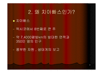 [지역학] 멕시코(사빠띠스따 혁명과 멕시코의 정치경제)-8