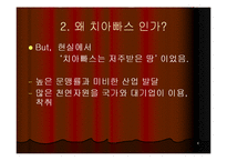 [지역학] 멕시코(사빠띠스따 혁명과 멕시코의 정치경제)-9