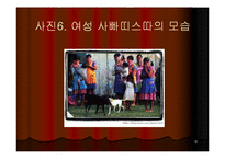 [지역학] 멕시코(사빠띠스따 혁명과 멕시코의 정치경제)-16