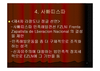 [지역학] 멕시코(사빠띠스따 혁명과 멕시코의 정치경제)-17