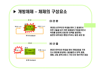 [한국정부론] 체제이론-10