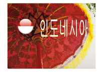 [국제기업환경론] 인도네시아-1