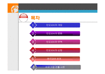 [국제기업환경론] 인도네시아-2