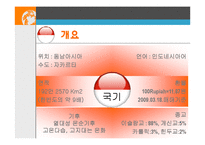 [국제기업환경론] 인도네시아-3