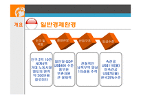[국제기업환경론] 인도네시아-4
