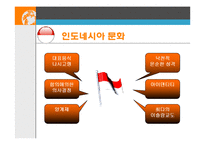 [국제기업환경론] 인도네시아-9