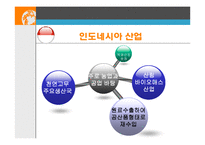 [국제기업환경론] 인도네시아-20