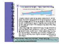 [웹퍼블리싱] 외계어 사용 실태와 해결방안 모색-9