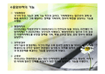 [가상국가론]Republic Corea(대한민국)-8