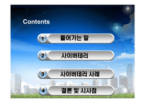 [국가정보학] 사이버테러-2