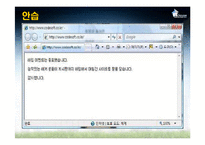 [국가정보학] 사이버테러-19