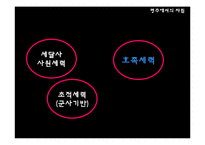 [한국사상사] 궁예에관한 연구-15