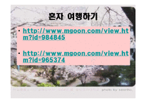 [발표와토론] 대학때 해야할 일에 관한 연구-4