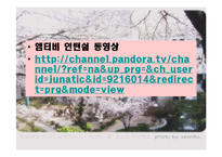 [발표와토론] 대학때 해야할 일에 관한 연구-14