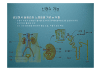 [사회복지의료사회] 만성신부전증에관한 연구-3