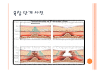 [사회복지의료사회] 욕창에관한 연구-11