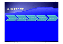[사회복지의료사회] 정신분열증에관한 연구-4