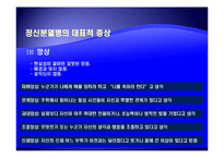 [사회복지의료사회] 정신분열증에관한 연구-5