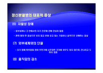 [사회복지의료사회] 정신분열증에관한 연구-8