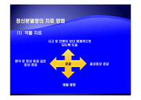 [사회복지의료사회] 정신분열증에관한 연구-10