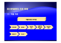 [사회복지의료사회] 정신분열증에관한 연구-11