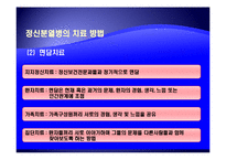 [사회복지의료사회] 정신분열증에관한 연구-12