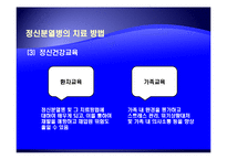 [사회복지의료사회] 정신분열증에관한 연구-13