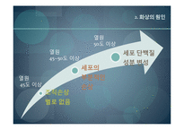 [사회복지의료사회] 화상에관한 연구-6