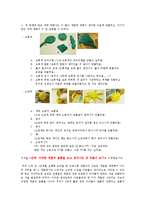 [창의성과교육] 찰흙을 이용한 창의성 교육-5