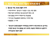 [청소년교육개론] 청소년지도 프로그램-3