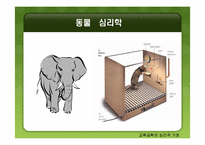 [교육공학] 교육공학의 심리적 기초-6