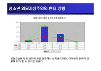 [청소년교육개론] 청소년 외모지상주의-7