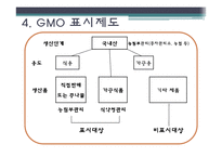 [외식영양과건강] 소비자의 식품안전에대한 의식과 GMO(Genetical Modified Food)-19