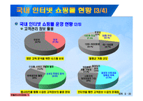[정보통신] 인터넷 쇼핑몰 소피자 피해사례 및 대처방안-10