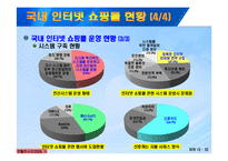 [정보통신] 인터넷 쇼핑몰 소피자 피해사례 및 대처방안-11