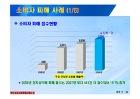 [정보통신] 인터넷 쇼핑몰 소피자 피해사례 및 대처방안-12