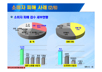 [정보통신] 인터넷 쇼핑몰 소피자 피해사례 및 대처방안-13