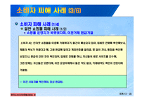 [정보통신] 인터넷 쇼핑몰 소피자 피해사례 및 대처방안-14