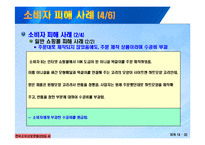 [정보통신] 인터넷 쇼핑몰 소피자 피해사례 및 대처방안-15