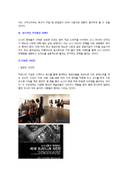 [국제경영론] 카메라 소니DSLR 전략경영-13