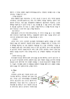 [마케팅] 신개념 숙박 사업 계획서-8
