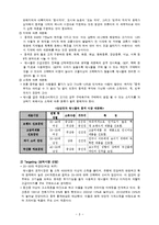 [국제마케팅] 삼성 애니콜 중국진출전략-10