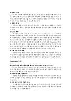 [경영전략] 빕스 마케팅분석 및 경영 성공요인-8