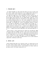 [국제마케팅] 로만손 글로벌 마케팅전략-3