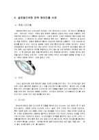 [국제마케팅] 로만손 글로벌 마케팅전략-7