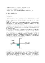 [국제마케팅] 로만손 글로벌 마케팅전략-10