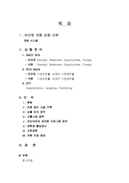 [경영학] 아이팟, 코원 시장상황 분석 및 전략-2