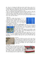 [관광자원답사] 외국인 관광객의 시각으로 바라본 화성-6