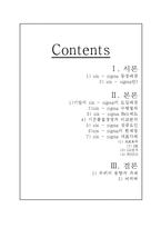 Six-Sigma(6시그마, 식스시그마)-2
