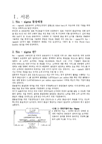 Six-Sigma(6시그마, 식스시그마)-3